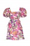Women ALEC DRESS Flora Splash | MISA Los Angeles Mini