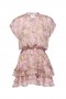 Women EVIE DRESS Spring Rose Paisley | MISA Los Angeles Mini